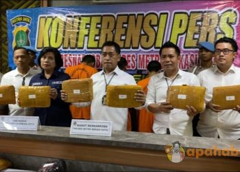 Polres Metro Bekasi Kota Amankan 14,338 Kilogram narkotika jenis ganja. Foto: apahabar.com/Mae Manah.