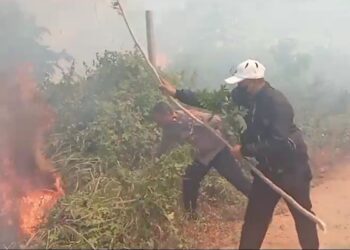Personil Polsek Wertamrian Berhasil Padamkan Kobaran Api (Foto: Humas Polres Tanimbar)